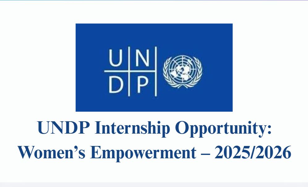 UNDP Internship Opportunity